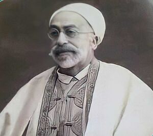 Muhammad al-Tahir ibn Ashur.jpg