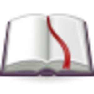 Accessories-dictionary.svg
